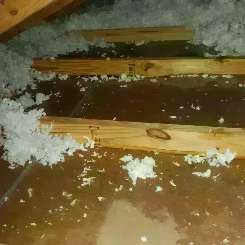 Attic Water Damage in Mena, AR