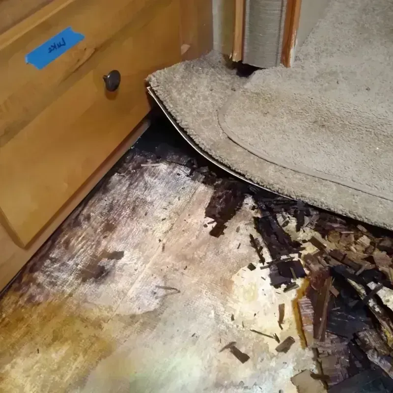 Best Wood Floor Water Damage Service in Mena, AR